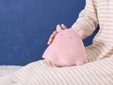 ブルーブルーエジャパン株式会社のプレスリリース画像7