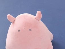 ブルーブルーエジャパン株式会社のプレスリリース画像9