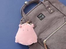 ブルーブルーエジャパン株式会社のプレスリリース画像5