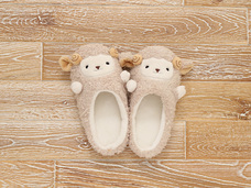 ブルーブルーエジャパン株式会社のプレスリリース画像7