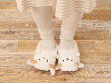 ブルーブルーエジャパン株式会社のプレスリリース画像5