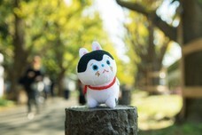 ブルーブルーエジャパン株式会社のプレスリリース画像7