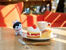 ブルーブルーエジャパン株式会社のプレスリリース画像4