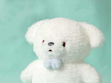 ブルーブルーエジャパン株式会社のプレスリリース画像4