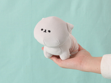 ブルーブルーエジャパン株式会社のプレスリリース画像3