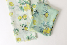 ブルーブルーエジャパン株式会社のプレスリリース画像4