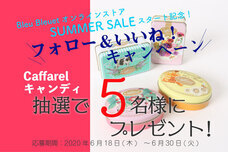 ブルーブルーエジャパン株式会社のプレスリリース画像9