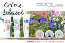 ブルーブルーエジャパン株式会社のプレスリリース画像10