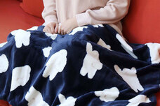 ブルーブルーエジャパン株式会社のプレスリリース画像2