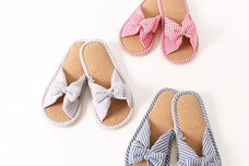 ブルーブルーエジャパン株式会社のプレスリリース画像5