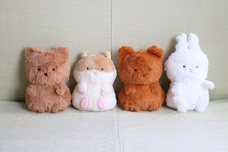 ブルーブルーエジャパン株式会社のプレスリリース画像1