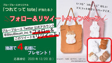 ブルーブルーエジャパン株式会社のプレスリリース画像9