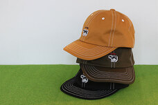 ブルーブルーエジャパン株式会社のプレスリリース画像2