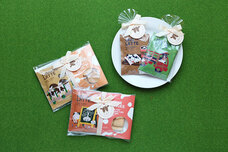 ブルーブルーエジャパン株式会社のプレスリリース画像9