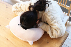 ブルーブルーエジャパン株式会社のプレスリリース画像2