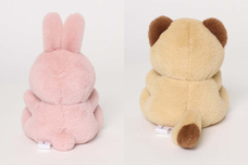 ブルーブルーエジャパン株式会社のプレスリリース画像4