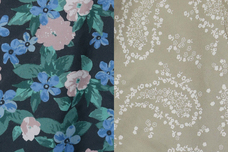 ブルーブルーエジャパン株式会社のプレスリリース画像9