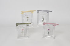 ブルーブルーエジャパン株式会社のプレスリリース画像2