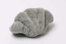 ブルーブルーエジャパン株式会社のプレスリリース画像8