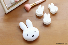 ブルーブルーエジャパン株式会社のプレスリリース画像5