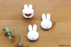 ブルーブルーエジャパン株式会社のプレスリリース画像2