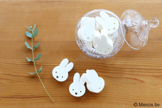 ブルーブルーエジャパン株式会社のプレスリリース画像8