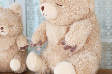 ブルーブルーエジャパン株式会社のプレスリリース画像4