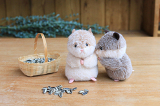 ブルーブルーエジャパン株式会社のプレスリリース画像3