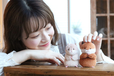 ブルーブルーエジャパン株式会社のプレスリリース画像4