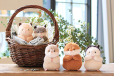 ブルーブルーエジャパン株式会社のプレスリリース画像1