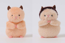 ブルーブルーエジャパン株式会社のプレスリリース画像6