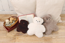 ブルーブルーエジャパン株式会社のプレスリリース画像1