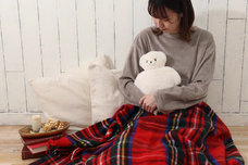 ブルーブルーエジャパン株式会社のプレスリリース画像6