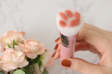 ブルーブルーエジャパン株式会社のプレスリリース画像3