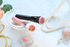 ブルーブルーエジャパン株式会社のプレスリリース画像1