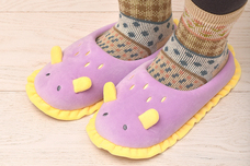 ブルーブルーエジャパン株式会社のプレスリリース画像8