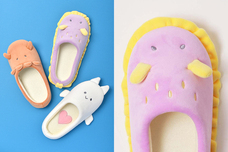 ブルーブルーエジャパン株式会社のプレスリリース画像7