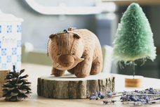 ブルーブルーエジャパン株式会社のプレスリリース画像1