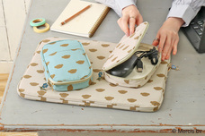 ブルーブルーエジャパン株式会社のプレスリリース画像3