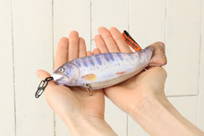 ブルーブルーエジャパン株式会社のプレスリリース画像4