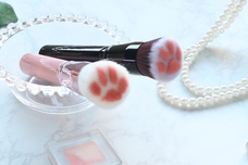 ブルーブルーエジャパン株式会社のプレスリリース画像7