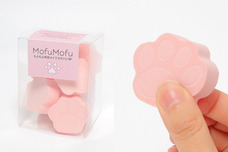 ブルーブルーエジャパン株式会社のプレスリリース画像6