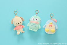 ブルーブルーエジャパン株式会社のプレスリリース画像12