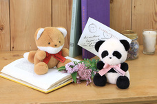 ブルーブルーエジャパン株式会社のプレスリリース画像6