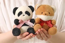 ブルーブルーエジャパン株式会社のプレスリリース画像5