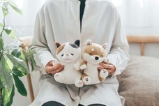 ブルーブルーエジャパン株式会社のプレスリリース画像9