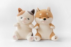 ブルーブルーエジャパン株式会社のプレスリリース画像2