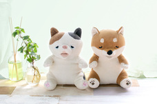 ブルーブルーエジャパン株式会社のプレスリリース画像1