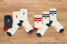 ブルーブルーエジャパン株式会社のプレスリリース画像3