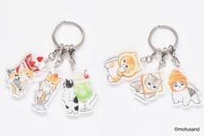 ブルーブルーエジャパン株式会社のプレスリリース画像12